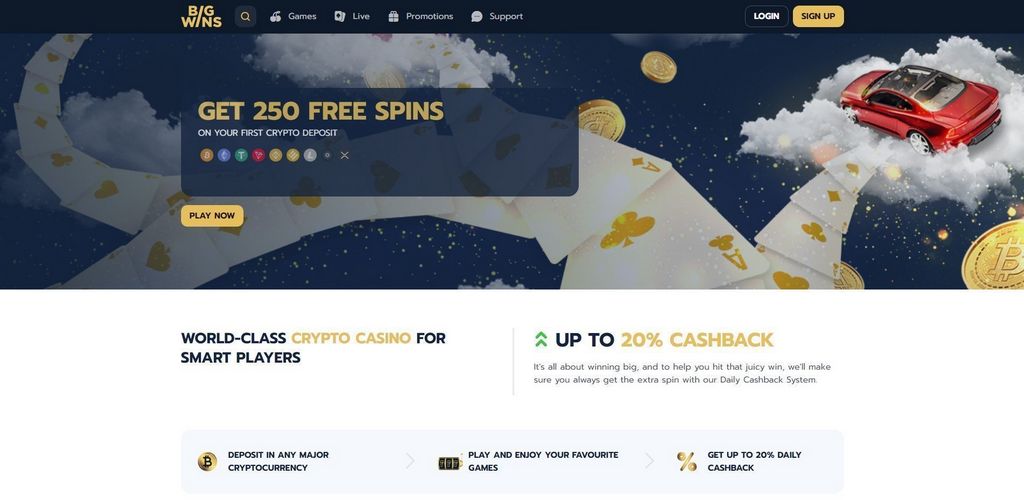 Big Wins Gambling Enterprise In-depth & Unbiased Review 2025